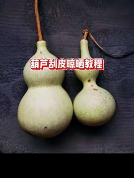 葫芦在线视频,揭秘神秘葫芦世界的奇幻之旅