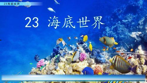 23海底世界在线视频,23海底世界在线视频深度解析